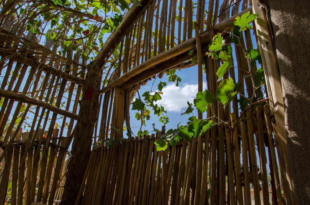 Kfar Hanokdim - Glamping & Camping Arad Eksteriør billede